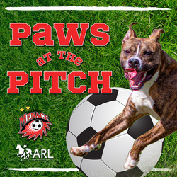 Paws at the Pitch 2026