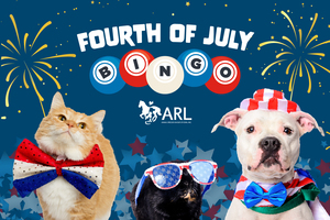 Fourth of July Bingo