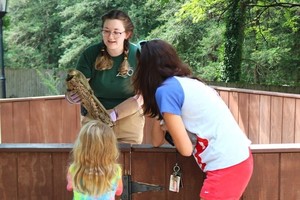 Creature Features @ Brandywine Zoo