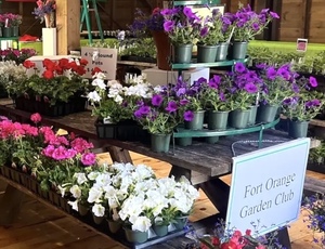 Fort Orange Garden Club Spring Plant Sale