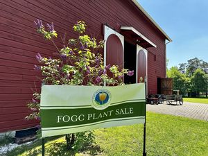 Fort Orange Garden Club Spring Plant Sale