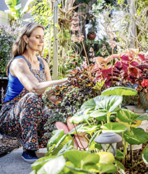 Gardens That Give Back: Designing for Pollinators in Florida