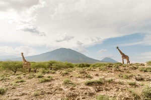 Sentinels of Engaruka: Free African Film Screening