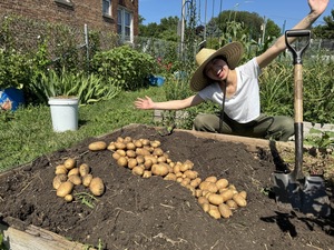 Ask An Expert Gardener