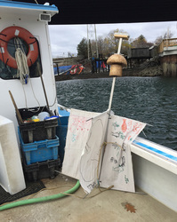Drifters - Ocean Currents in the Gulf of Maine and STEM Education