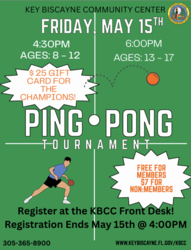 Ping-Pong Tournament