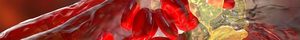 Cardiovascular Atherosclerosis 2026: Prediction, Prevention and Management CME Course-San Diego, CA