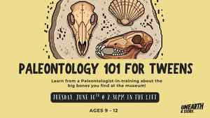 Paleontology 101 For Tweens