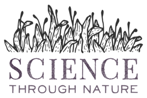Kids Time (Expert): Naturalist Science | Unearth a Story