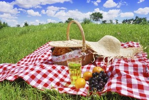 Dino Lunch Picnic | Unearth a Story