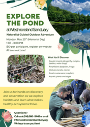 Explore the Pond at Westmoreland Sanctuary