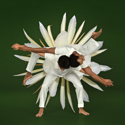 Ballet in Bloom – An Evening at Desert Botanical Garden
