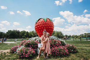 Strawberry Days at Blooms & Berries