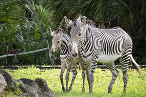 Free Admission for Moms on Mother’s Day