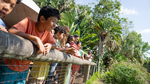 Florida Resident Special: Kids Free