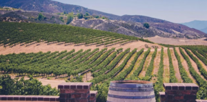 Santa Barbara Wine Country