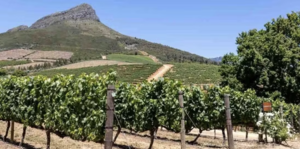 South Africa