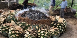 Agave Spirits - Tequila, Mezcal,   More!?
