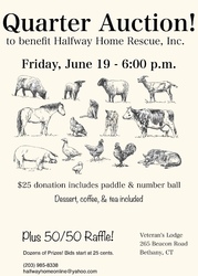 Quarter Auction to Benefit Halfway Home Rescue Inc
