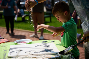 Hartville Art in the Park