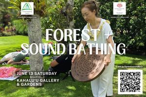 Forest   Sound Bathing