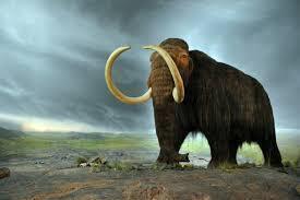 Paleontology Science | Unearth a Story