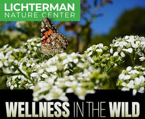 Wellness in the Wild