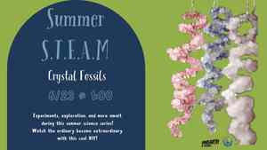 Summer STEAM: Crystal Fossils