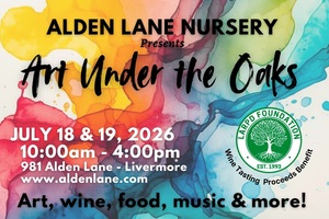 Art Under the Oaks