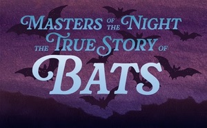 Masters of the Night: The True Story of Bats Exhibit