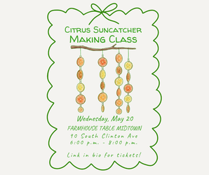 Citrus Suncatcher Making Class