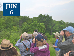 Spring Birding Tour at Pope Farm Conservancy