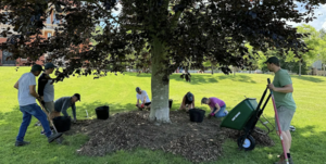 Tree Corps