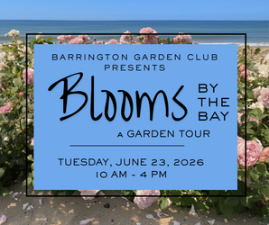 Blooms By the Bay