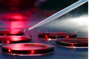 35th Annual Mayo Clinic Hematology/Oncology Reviews 2026