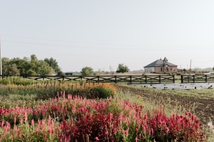 Cut and Create Floral Workshop at Middlebrook Farm