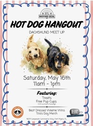 Hot Dog Hangout: Dachshund Meet Up at Backyard Social