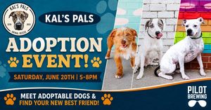 https://www.pilotbrewing.us/events-1/kals-pals-adoption-event