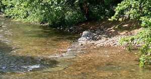 Wildlands Conservancy – Bushkill Creek Bike Ride