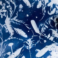 Cyanotype Workshop with the Crown Hill Foundation Artists-in-Residence!