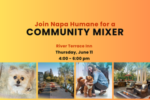 Napa Humane Community Mixer
