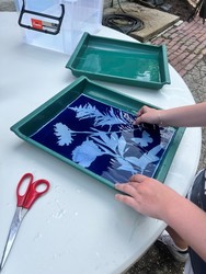 Cyanotype Workshop with the Crown Hill’s Artists-in-Residence