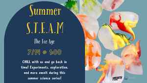Summer STEAM: Ice Age
