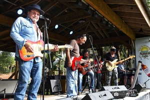 Backyard Bluesfest featuring T.B.A., Tommy Lee Cook & The BBB, & Big Al & The Heavyweights