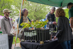 Native Plant Festival