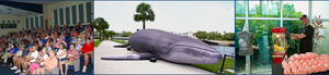 The 2026 International Ocean Film Festival: Florida Tour