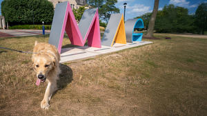 Yappy Hour at MAG