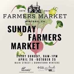 Winters Farmers Market