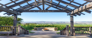 CRU Winery 2022 Harvest and Fall Release Celebration