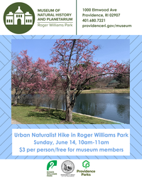 Urban Naturalist Hike in Roger Williams Park